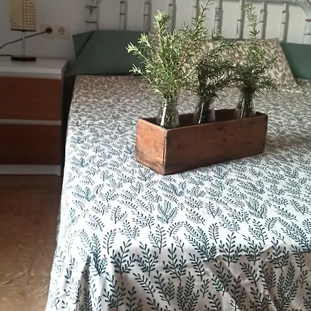 Casa Fonset
