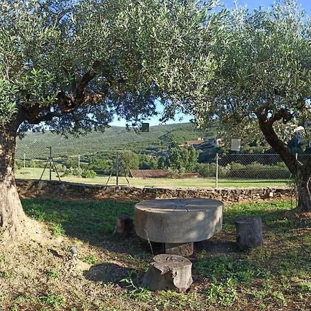 Casa Fonset *