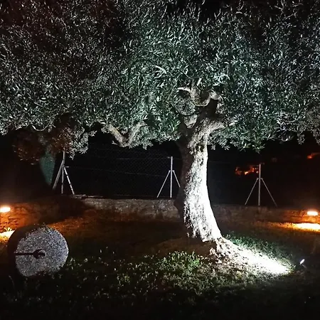 Holiday home Casa Fonset Ager
