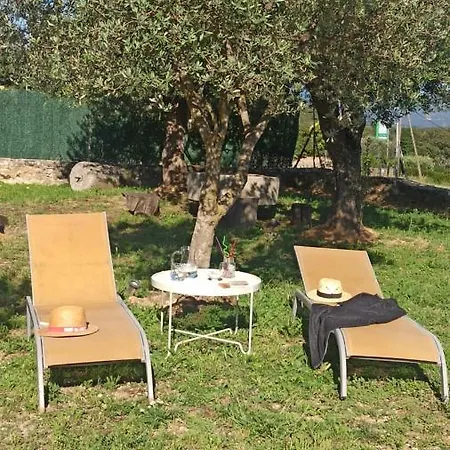 Casa Fonset Holiday home