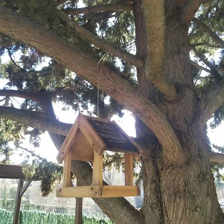 Casa Fonset